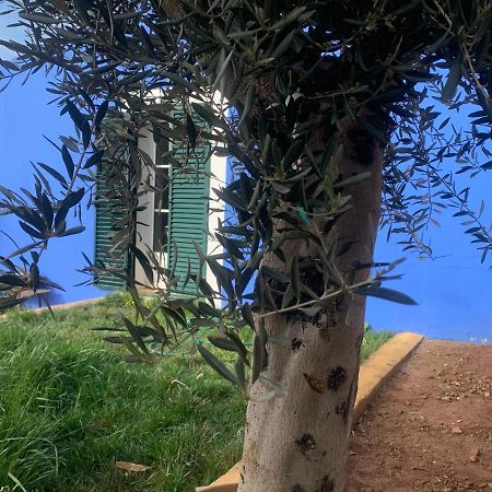 Casa Dos Mangues Pensionat São Martinho do Porto Exteriör bild