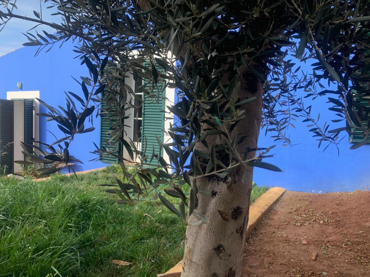 Casa Dos Mangues Pensionat São Martinho do Porto Exteriör bild